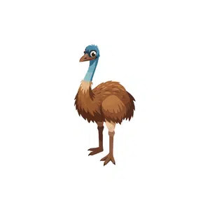 Emu | Bird Names for Kids in English with Pictures