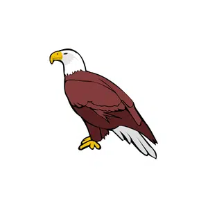 Falcon