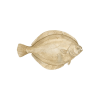 Flounder | Sea Animal Names for Kids in English