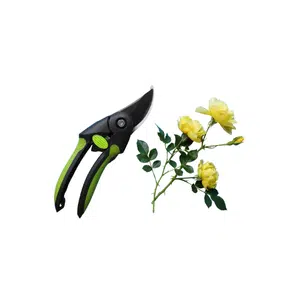 Flower Cutter