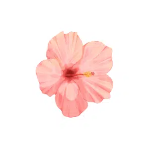 Flower | Park Things Names for Kids in English