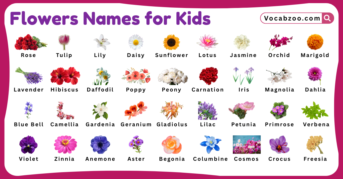 Flowers Names for Kids in English with Pictures