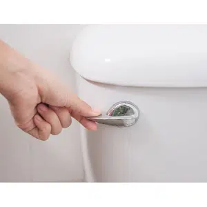 Flush | Bathroom Items Names for Kids