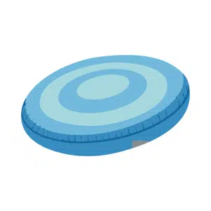 Frisbee | Beach Things Names for Kids