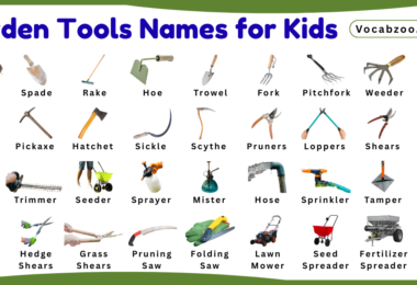 Garden Tools Names for Kids in English with Pictures