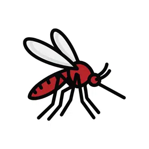 Gnat | Insect Names for Kids in English