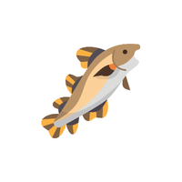 Goby | Sea Animal Names for Kids in English