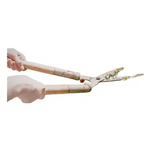 Grass Shears | Garden Tools Names for Kids