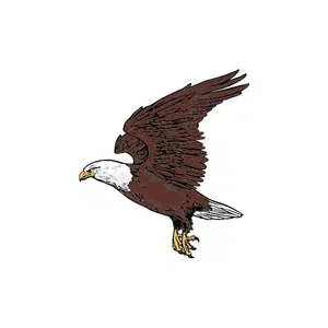 Harrier