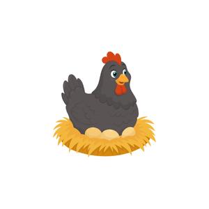 Hen | Bird Names for Kids in English with Pictures