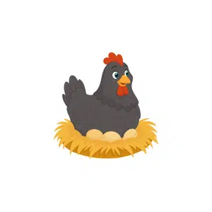 Hen | Bird Names for Kids in English with Pictures
