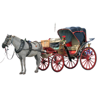 Horse Carriage | Vehicles Names for Kids