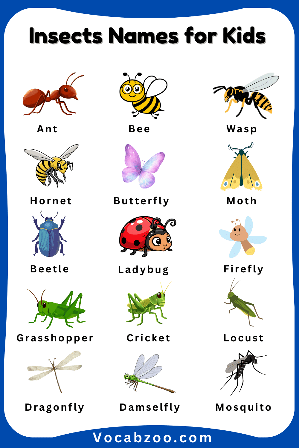 Insect Names for Kids in English with Pictures