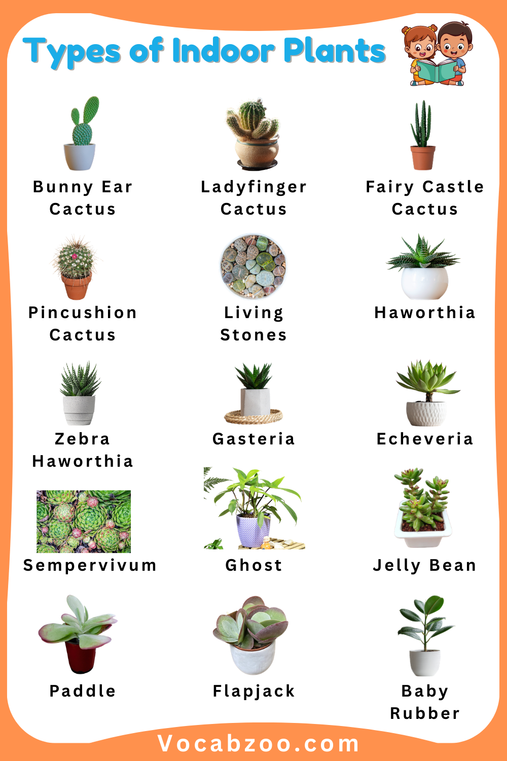 Kids Learning Indoor Plants Names with Images