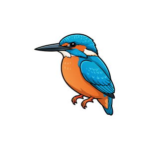 Kingfisher | Bird Names for Kids in English with Pictures