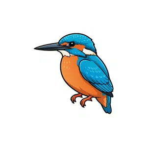 Kingfisher | Bird Names for Kids in English with Pictures
