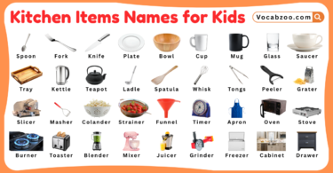 Kitchen Items Names for Kids in English with Pictures