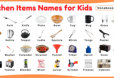 Kitchen Items Names for Kids in English with Pictures