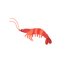 Krill | Sea Animal Names for Kids in English