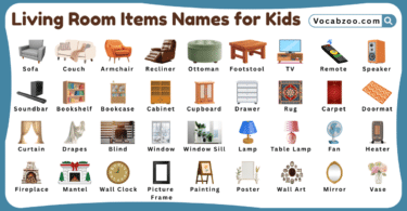 Living Room Items Names for Kids in English with Pictures