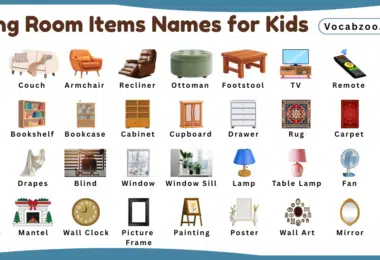 Living Room Items Names for Kids in English with Pictures