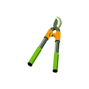 Lopper | Farm Tools Names for Kids in English