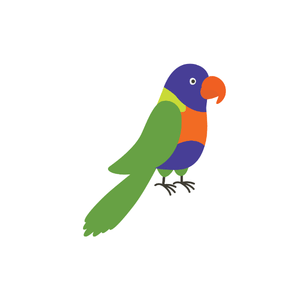 Lorikeet | Bird Names for Kids in English with Pictures