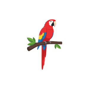 Macaw | Bird Names for Kids in English with Pictures