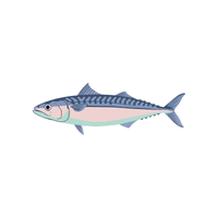Mackerel | Sea Animal Names for Kids in English
