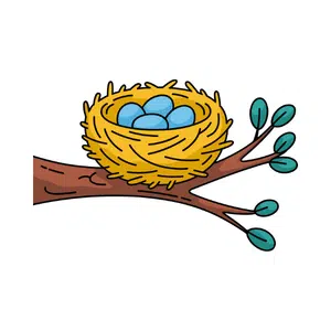 Nest | Park Things Names for Kids in English