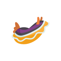 Nudibranch | Sea Animal Names for Kids in English