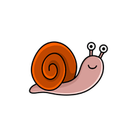 Olive snail | Sea Animal Names for Kids in English