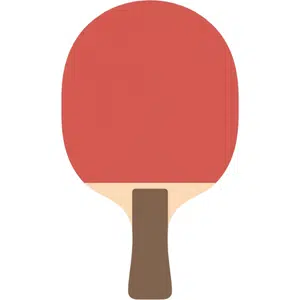 Paddle