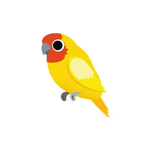 Parakeet | Bird Names for Kids in English with Pictures