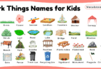 Park Things Names for Kids in English with Pictures