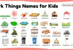 Park Things Names for Kids in English with Pictures