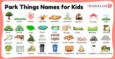 Park Things Names for Kids in English with Pictures