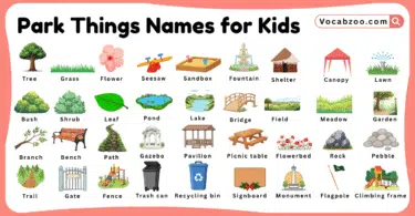 Park Things Names for Kids in English with Pictures