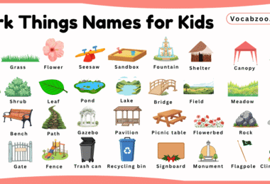Park Things Names for Kids in English with Pictures
