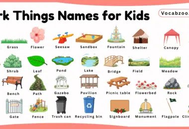 Park Things Names for Kids in English with Pictures