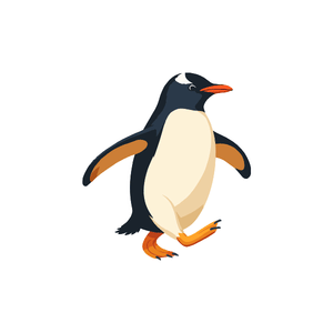 Penguin | Bird Names for Kids in English with Pictures