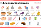 Pet Accessories Names for Kids in English with Pictures