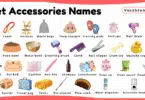 Pet Accessories Names for Kids in English with Pictures