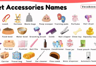 Pet Accessories Names for Kids in English with Pictures