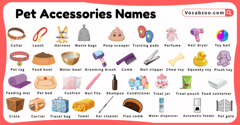 Pet Accessories Names for Kids in English with Pictures