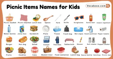 Picnic Items Names for Kids in English with Pictures