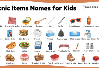 Picnic Items Names for Kids in English with Pictures