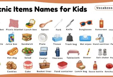 Picnic Items Names for Kids in English with Pictures