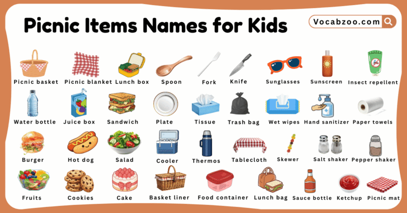 Picnic Items Names for Kids in English with Pictures