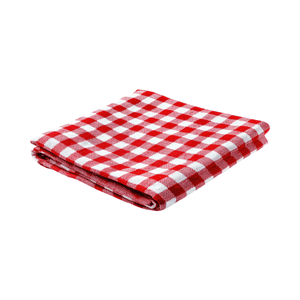 Picnic mat